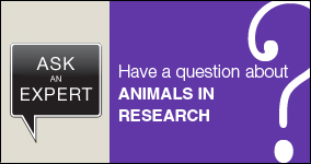Ask an expert. Submit a question about addiction.